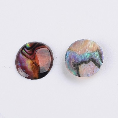 Oval Abalone Shell/Paua Shell Cabochons S-SSHEL-K002-12mm-03-1