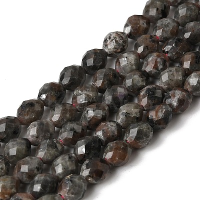 Natural Syenite Beads Strands G-K376-F09-01-1