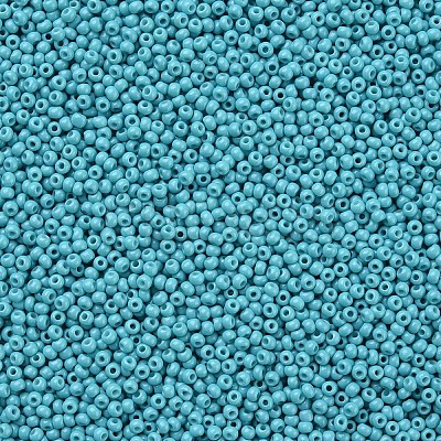 11/0 FGB Grade A Baking Paint Glass Seed Beads X-SEED-N001-A-1016-1