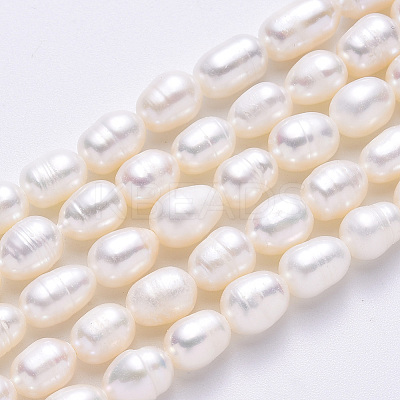 Natural Cultured Freshwater Pearl Beads Strands X-PEAR-S012-41C-1