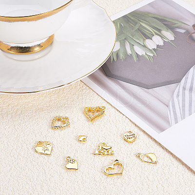 Tibetan Style Alloy Charms & Pendants TIBEP-PH0005-03-1