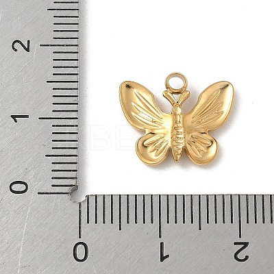 304 Stainless Steel Charms LS-STAS-P388-17G-1