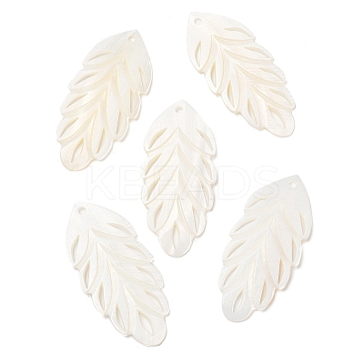 Natural Freshwater Shell Big Pendants SHEL-F007-19-1