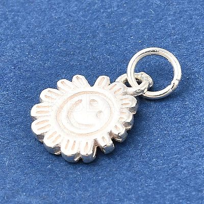 925 Sterling Silver Charms STER-Q003-01A-S-1