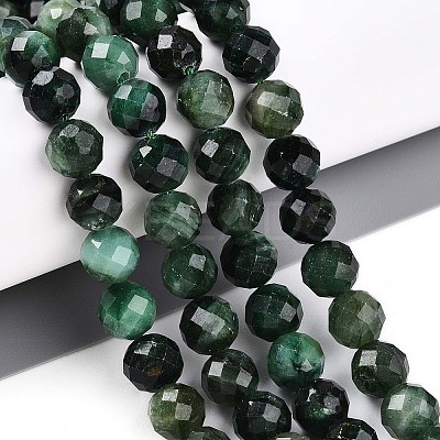Natural Fuchsite Beads Strands G-S345-8mm-33-1