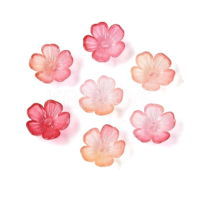 Transparent Plastic Bead Caps KY-Q005-02A-07-1