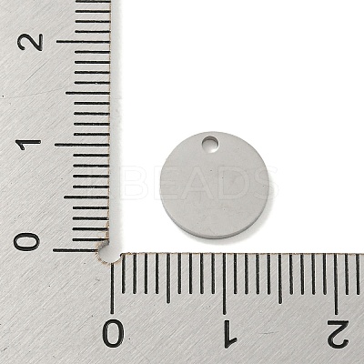 Non-Tarnish 304 Stainless Steel Pendants FIND-M017-02P-B-1