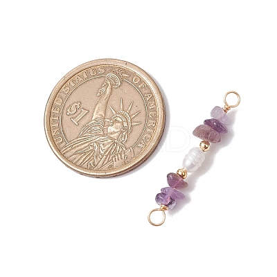 Natural Amethyst Chip & Natural Cultured Freshwater Pearl Rice Beaded Connector Charms PALLOY-JF03707-09-1