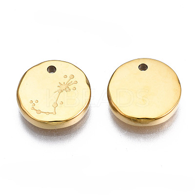 316 Surgical Stainless Steel Charms STAS-S116-418J-G-1
