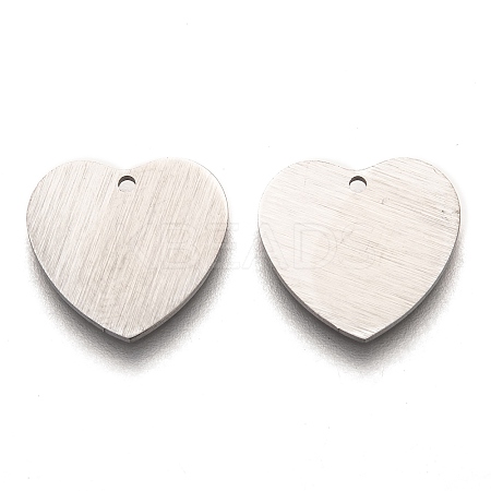 Tarnish Resistant 304 Stainless Steel Pendants LS-STAS-O133-02C-P-1