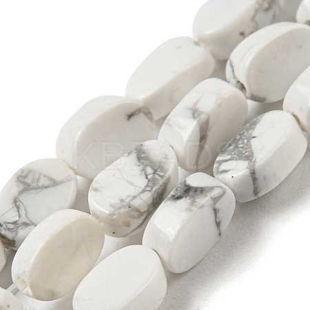 Natural Howlite Beads Strands G-M420-H14-03-1