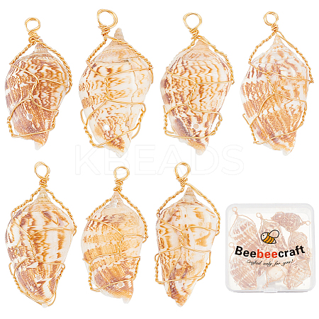 10Pcs Natural Conch Shell Big Pendants FIND-BBC0003-11-1