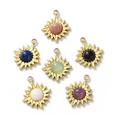 Natural Mixed Stone Charms STAS-Z099-09G-1