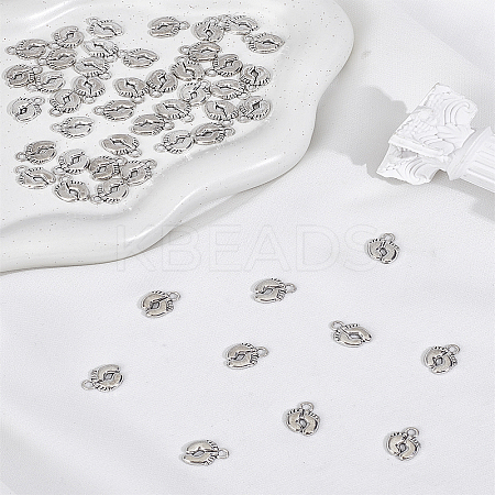 50Pcs Tibetan Style Zinc Alloy Charms FIND-LP0006-23-1