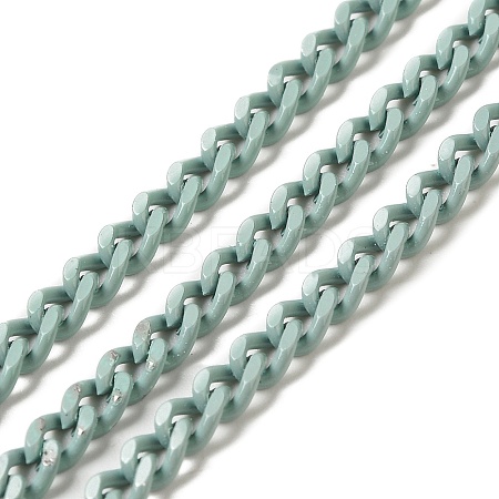 Spray Painted 304 Stainless Steel Curb Chains STAS-B067-05B-01-1