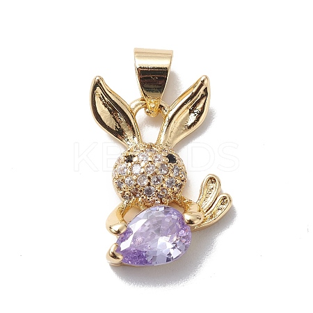 Rack Plating Brass Cubic Zirconia Charms KK-E003-36G-01-1
