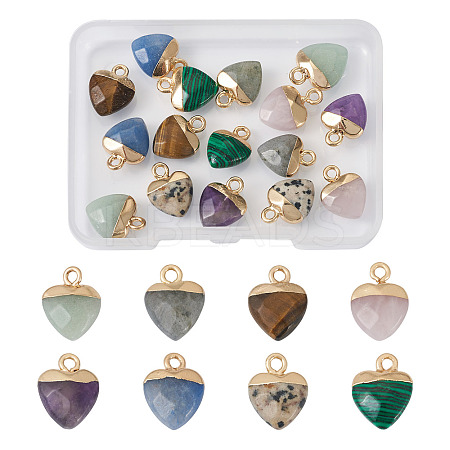 16Pcs 8 Styles Natural & Synthetic Gemstone Charms G-FW0001-34-1