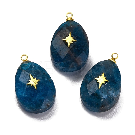 Natural Apatite Pendants X-G-B089-01G-03-1