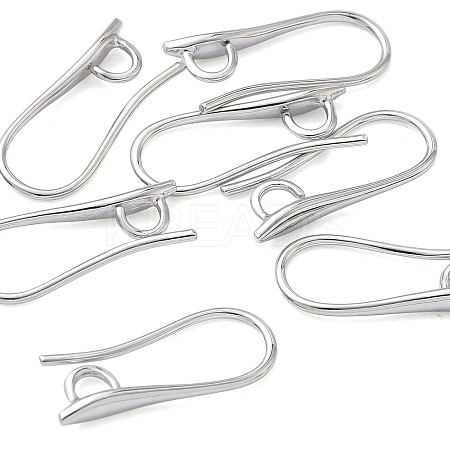 SHEGRACE Brass Earring Hooks XGR0003P-42P-1