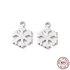 Rhodium Plated 925 Sterling Silver Charms STER-C003-18P-1