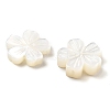 Natural White Shell Carved Beads SSHEL-Z002-02A-2