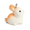 Cute Opaque Resin Pendants LS-RESI-R458-05F-2