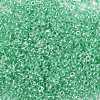 12/0 Glass Seed Beads X-SEED-A015-2mm-2218-2