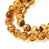 Natural Amber Beads Strands G-K387-D02-01-3