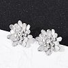 304 Stainless Steel Crystal Rhinestone Stud Earrings EJEW-G423-15P-1