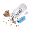 Glass Wishing Bottle Pendant Decorations X-GLAA-S181-02-4