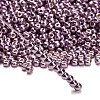 TOHO 6/0 Round Beads X-SEED-TR06-PF0554-2