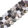 Natural Black Lip Shell Bead Strands SSHEL-N034-69A-1