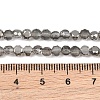 Faceted Flat Round Frosted Crystal Glass Beads Strands GLAA-F007-A03-3