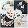 Natural Mixed Style Cowrie Cowry Seashells Oval Spiral Shells with Holes for Jewelry Making BSHE-PH0003-04-6