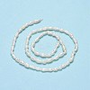 Natural Cultured Freshwater Pearl Beads Strands PEAR-J006-05A-3