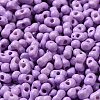 Baking Paint Glass Seed Beads SEED-K009-01A-11-3