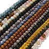 Natural Wood Lace Stone/Blue Spot Jasper/Black Netstone/Opal/Cherry Blossom Glass Beads Strands G-P562-C-02-1
