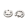 316 Surgical Stainless Steel Charms STAS-H190-14P-03-2