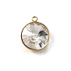 201 Stainless Steel Pendants STAS-F318-01D-G-1