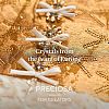 Preciosa® MAXIMA Crystal Round Stones Y-PRC-RBSS24-30010-5