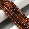Natural Red Agate Beads Strands G-NH0017-A02-01-2
