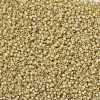 MIYUKI Round Rocailles Beads X-SEED-G008-RR0578-4