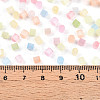 6/0 Transparent Colours Glass Seed Beads SEED-N007-22A-4