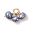 Natural Cultured Freshwater Pearl 3 Potato Charms PALLOY-JF04878-3