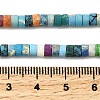 Dyed Synthetic Turquoise Beads Strands G-Z089-A04-R-6