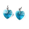 Faceted Transparent Glass Charms GLAA-T024-04D-2
