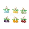 6Pcs 6 Styles Natural Amethyst & Carnelian & Mashan Jade & Malaysia Jade Cherry Pendants PALLOY-MZ00821-1