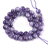 Natural Amethyst Beads Strands G-S333-10mm-020-2