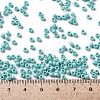 TOHO Round Seed Beads SEED-JPTR08-0413F-4