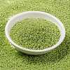 MIYUKI Round Rocailles Beads SEED-X0056-RR0439-2